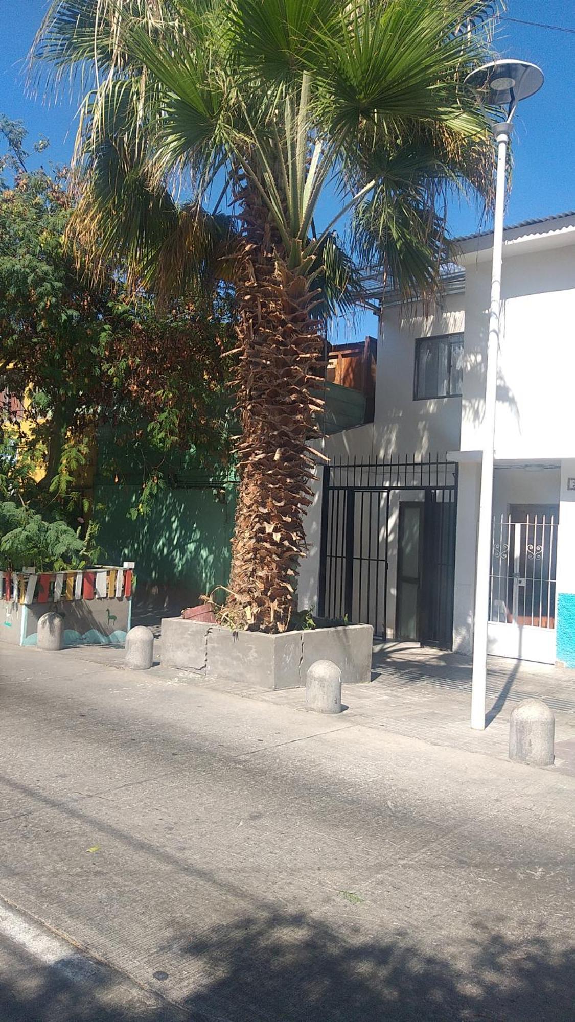 Hostal La Ruca Antofagasta Exterior photo